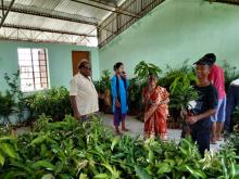 फलफूलको विरुवा वितरण कार्यक्रम