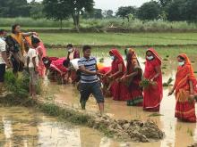 १८ औं राष्ट्रिय धान दिवस २०७८ रोपाई कार्यक्रम