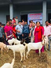 बाख्रा हस्तान्तरण कार्यक्रम
