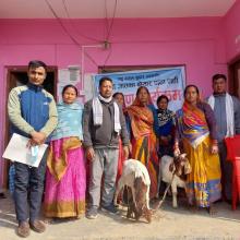 नसल सुधार कार्यक्रम अन्तर्गत बोयर जातको पाठा पाठी वितरण