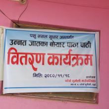 नसल सुधार कार्यक्रम अन्तर्गत बोयर जातको पाठा पाठी वितरण