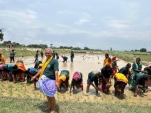 २२ औँ राष्ट्रिय धान दिवस २०८२