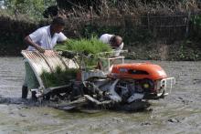  Rice Transplantor Machine काे तस्वीर