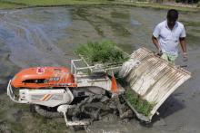  Rice Transplantor Machine काे तस्वीर